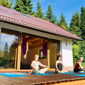 Aerial Yoga vs. Traditional Yoga: Which One Is Right for You?